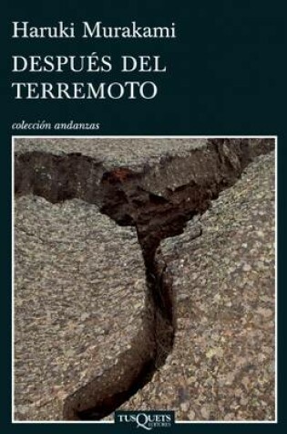 Cover of Después del Terremoto