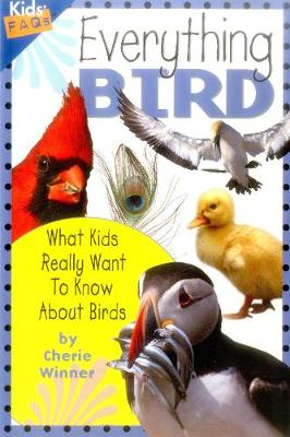 Book cover for Everything Bird