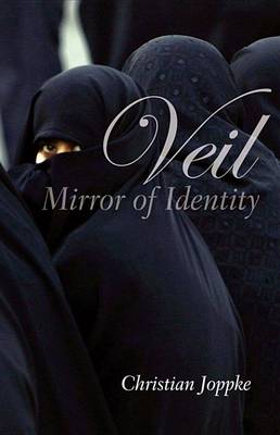 Book cover for Veil