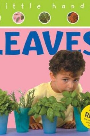 Cover of Little Hands Leaves