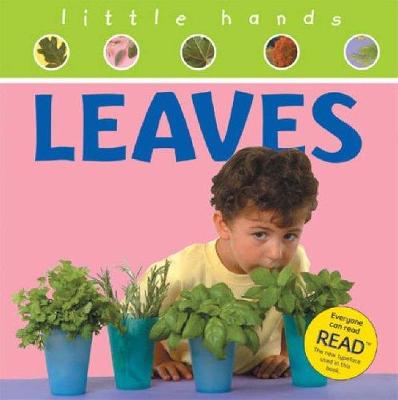 Book cover for Little Hands Leaves