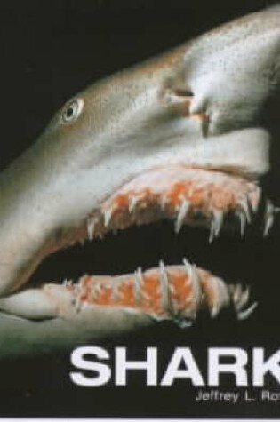 Cover of Shark!