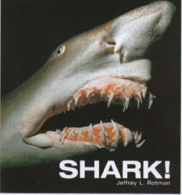 Book cover for Shark!