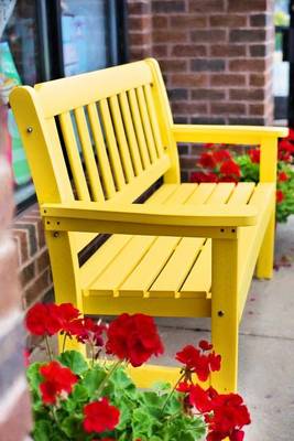 Book cover for A Beautiful Yellow Bench and Red Flowers