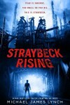 Book cover for Straybeck Rising