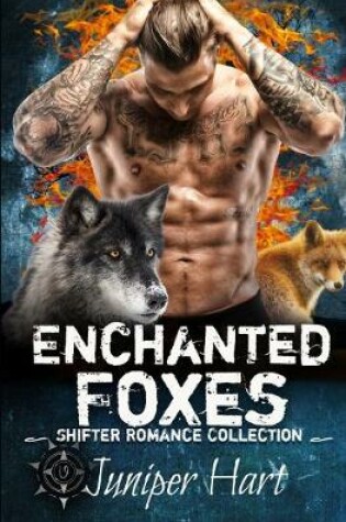 Cover of Enchanted Foxes