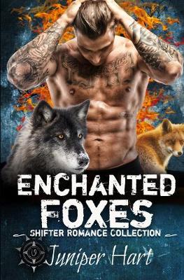 Book cover for Enchanted Foxes