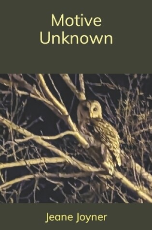 Cover of Motive Unknown