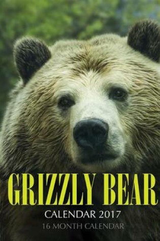 Cover of Grizzly Bear Calendar 2017