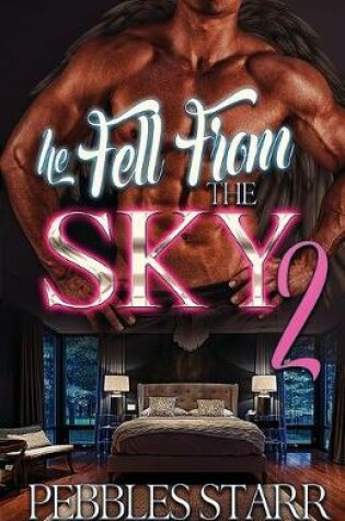 Cover of He Fell From The Sky 2