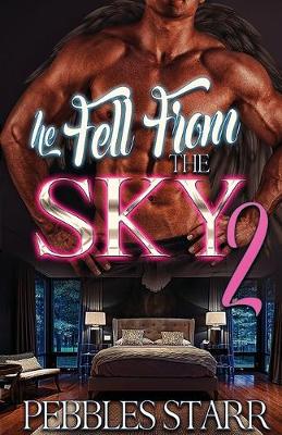 Book cover for He Fell From The Sky 2