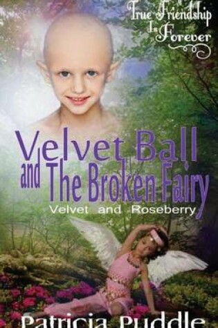 Cover of Velvet Ball and The Broken Fairy