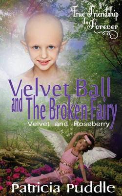 Book cover for Velvet Ball and The Broken Fairy