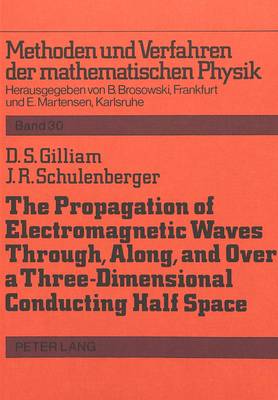 Book cover for Propagation of Electromagnetic Waves Through, Along and Over a Three-Dimensional Conducting Half Space