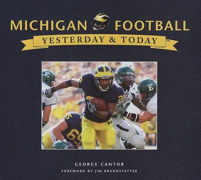 Book cover for Michigan Football