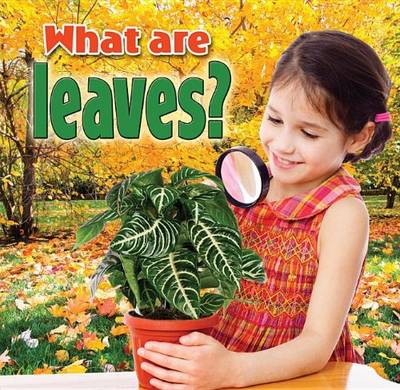Book cover for What Are Leaves