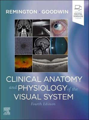 Book cover for Clinical Anatomy and Physiology of the Visual System