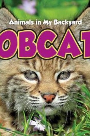 Cover of Bobcats