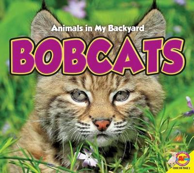 Book cover for Bobcats