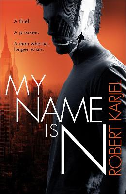 Book cover for My Name is N