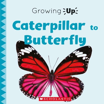 Book cover for Caterpillar to Butterfly (Growing Up)