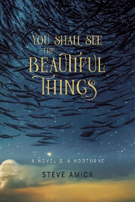 Book cover for You Shall See the Beautiful Things – A Novel & A Nocturne