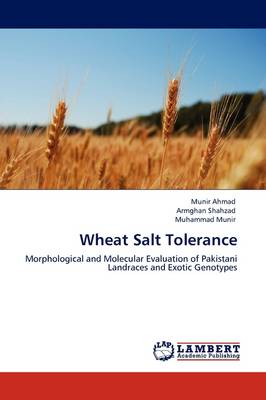 Book cover for Wheat Salt Tolerance