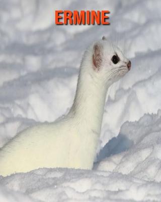 Book cover for Ermine