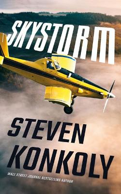 Book cover for Skystorm
