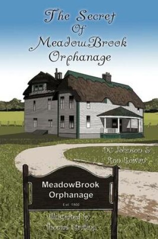 Cover of The Secret of Meadowbrook Orphanage