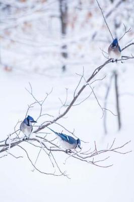 Cover of 2019 Weekly Planner Three Blue Jays Snowy Winter Branch 134 Pages