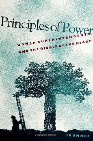 Cover of Principles of Power