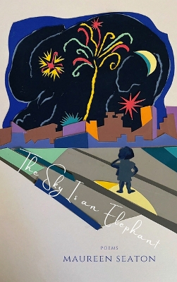 Book cover for The Sky Is an Elephant