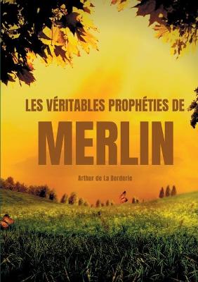 Book cover for Les veritables propheties de Merlin