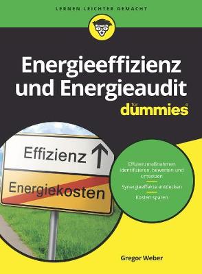 Book cover for Energieeffizienz, Energieaudit und Nachhaltigkeit fur Dummies