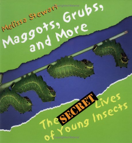 Book cover for Maggots, Grubs, and More