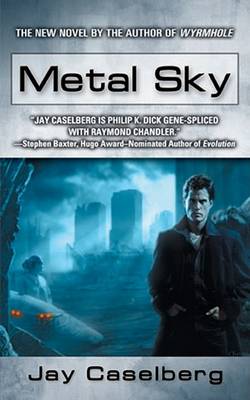 Book cover for Metal Sky