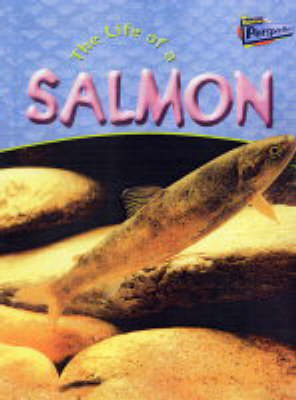 Cover of The Life Of A Salmon