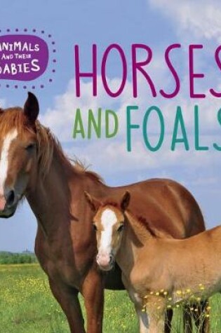 Cover of Horses and Foals