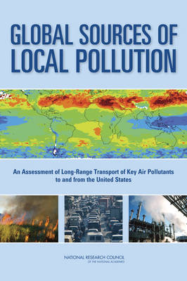 Book cover for Global Sources of Local Pollution