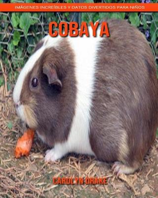 Book cover for Cobaya