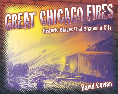 Book cover for Great Chicago Fires