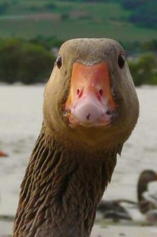 Cover of Curious Goose says Hello! Water Bird Journal