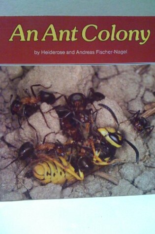 Cover of An Ant Colony