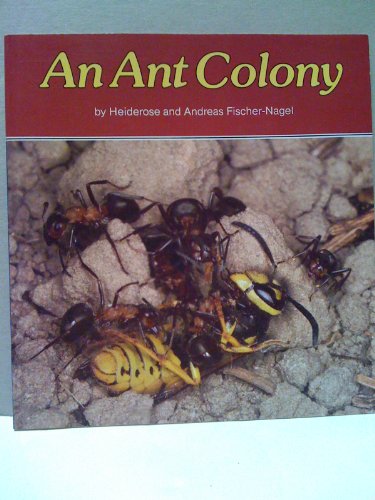 Book cover for An Ant Colony