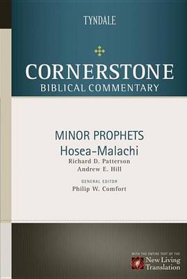 Book cover for Minor Prophets