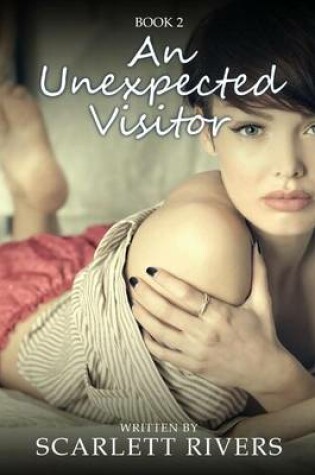 Cover of An Unexpected Visitor