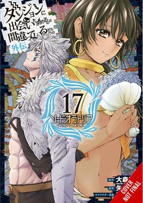 Book cover for Is It Wrong to Try to Pick Up Girls in a Dungeon? On the Side: Sword Oratoria, Vol. 17 (manga)