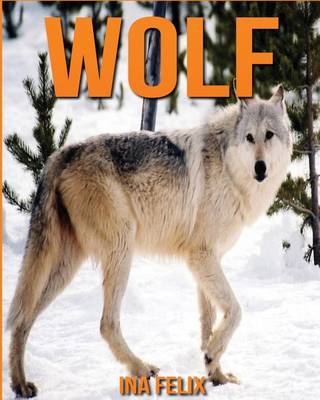 Book cover for Wolf