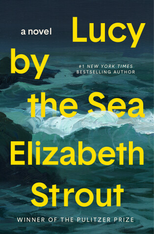 Book cover for Lucy by the Sea